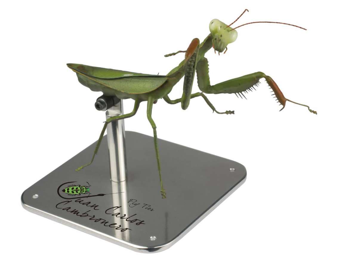 Juan Carlos Cambronero Gonzalez on Stand Semperfli Fly Tying